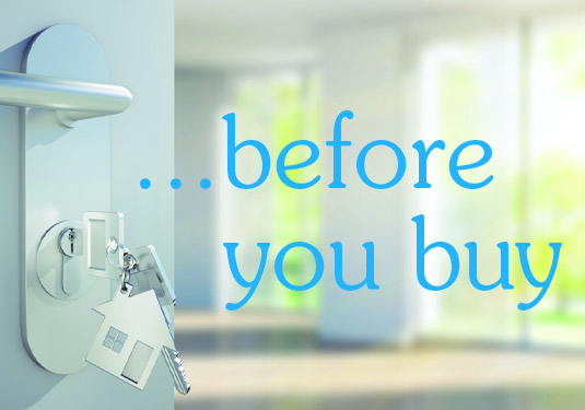 What to Know BEFORE You Start House-Hunting
