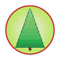 choose a safe christmas tree
