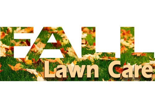 Care Tips To Help Put Your Lawn To Bed For Winter